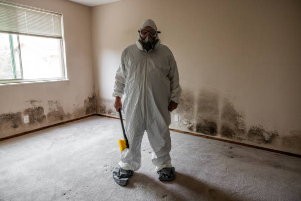 Best Crawl Space Mold Remediation  in Cheyenne, WY